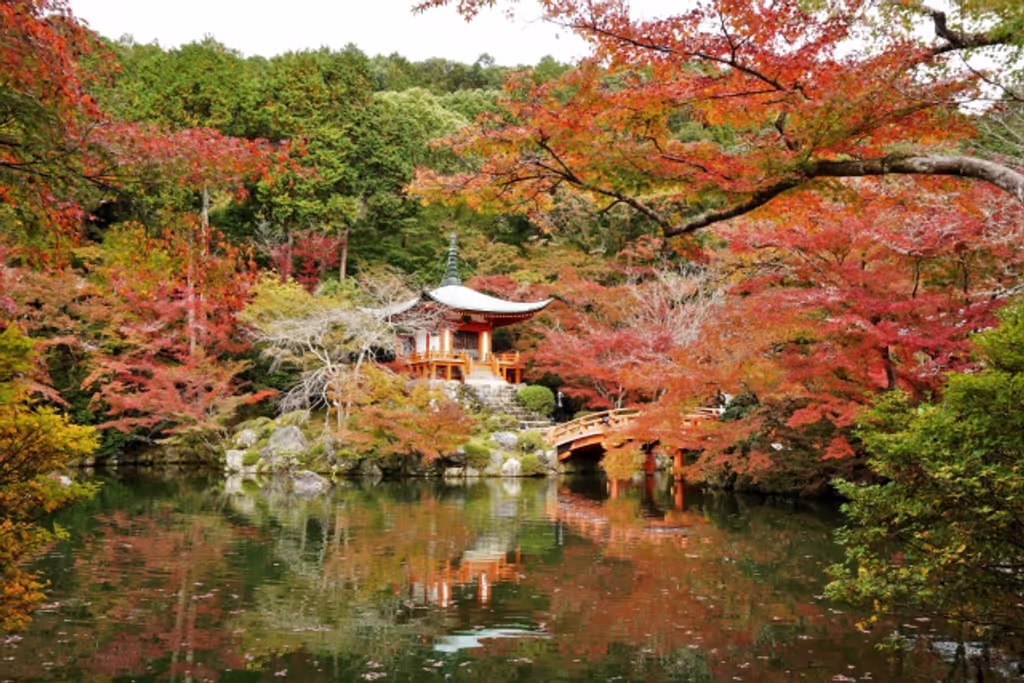 Kyoto Private Tour - null