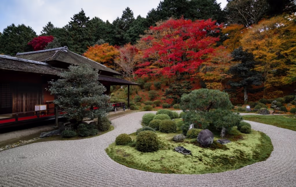 Kyoto Private Tour - null