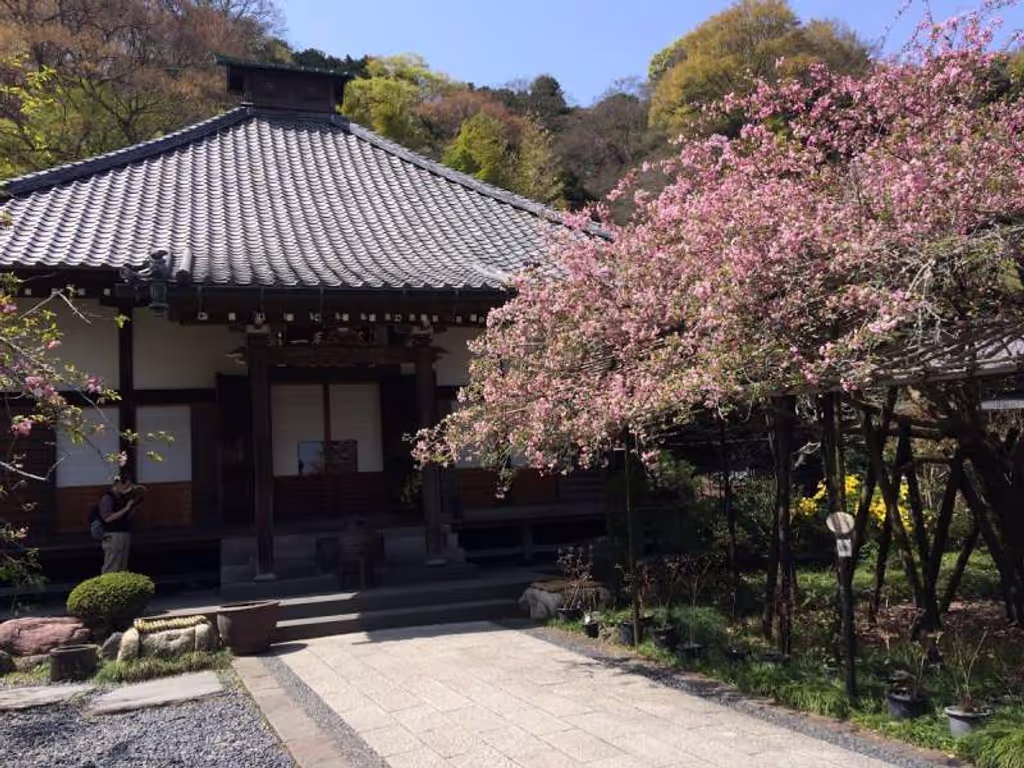 Kamakura Private Tour - Kosoku ji Temple in spring