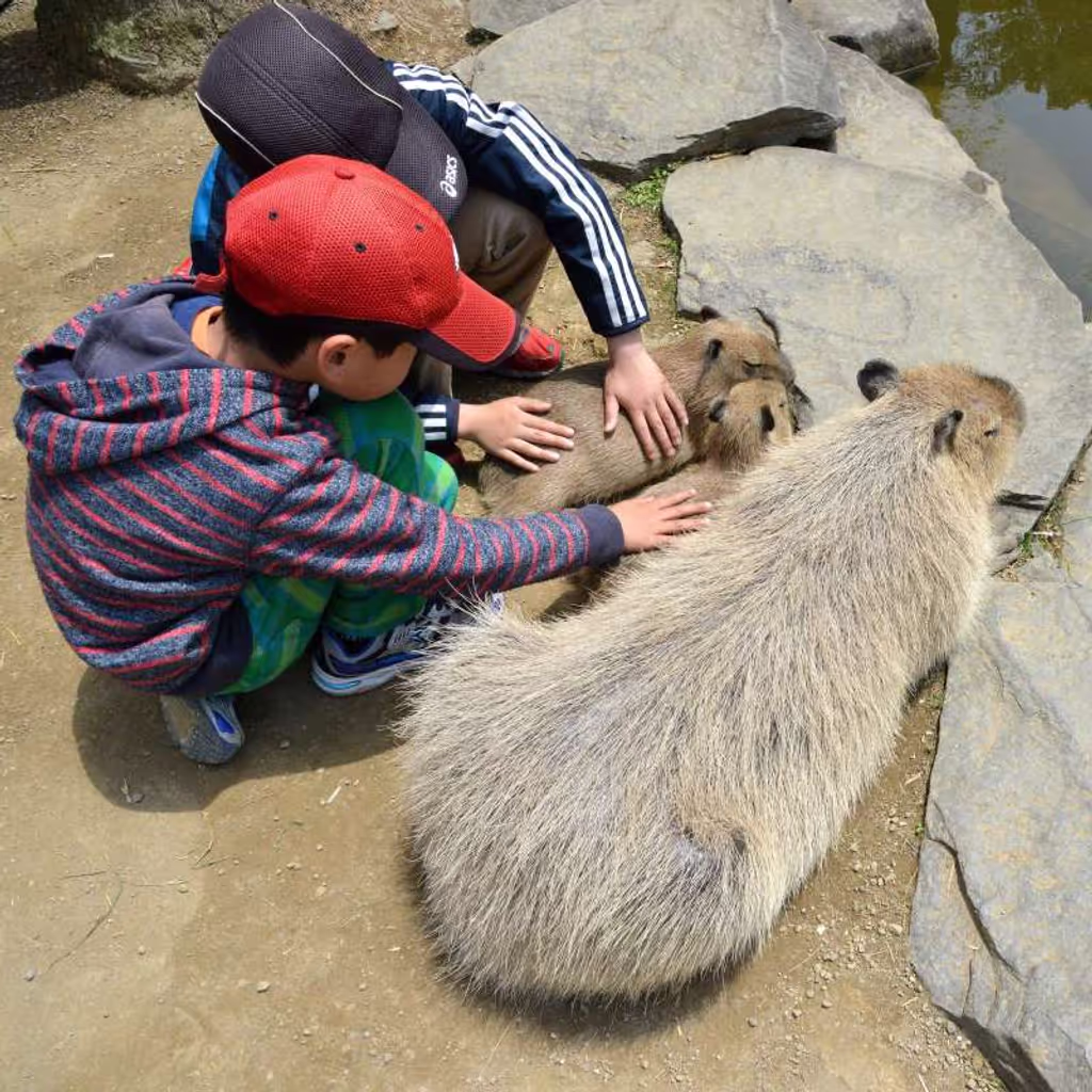 Nagasaki Private Tour - ★BIO PARK
・SAIKAI city
Unique zoo and botanical garden, in the part of area can touch and feed animals.  200 types of animals and 1000 types of plants are exhibiting