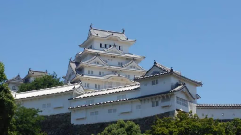 Himeji Private Tour - With its white elegant appearence its is nicknamed White Heron Castle.