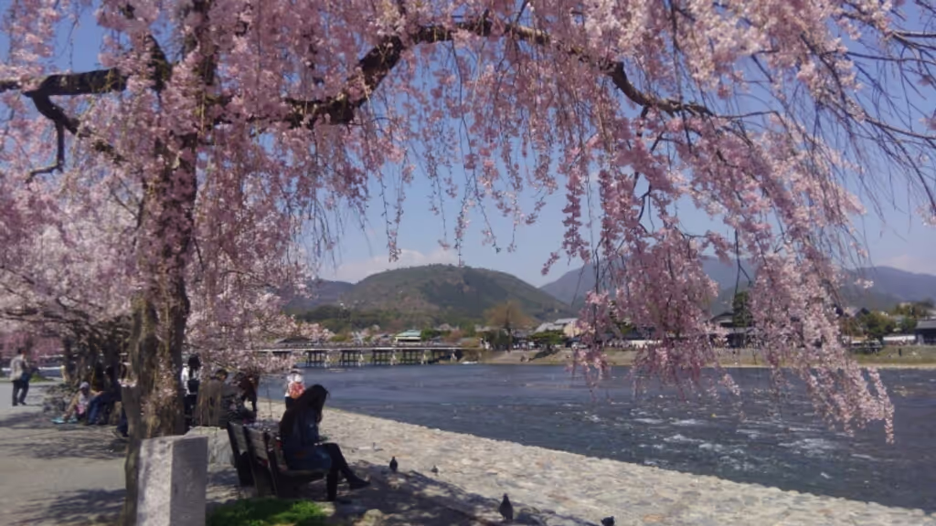 Kyoto Private Tour - null