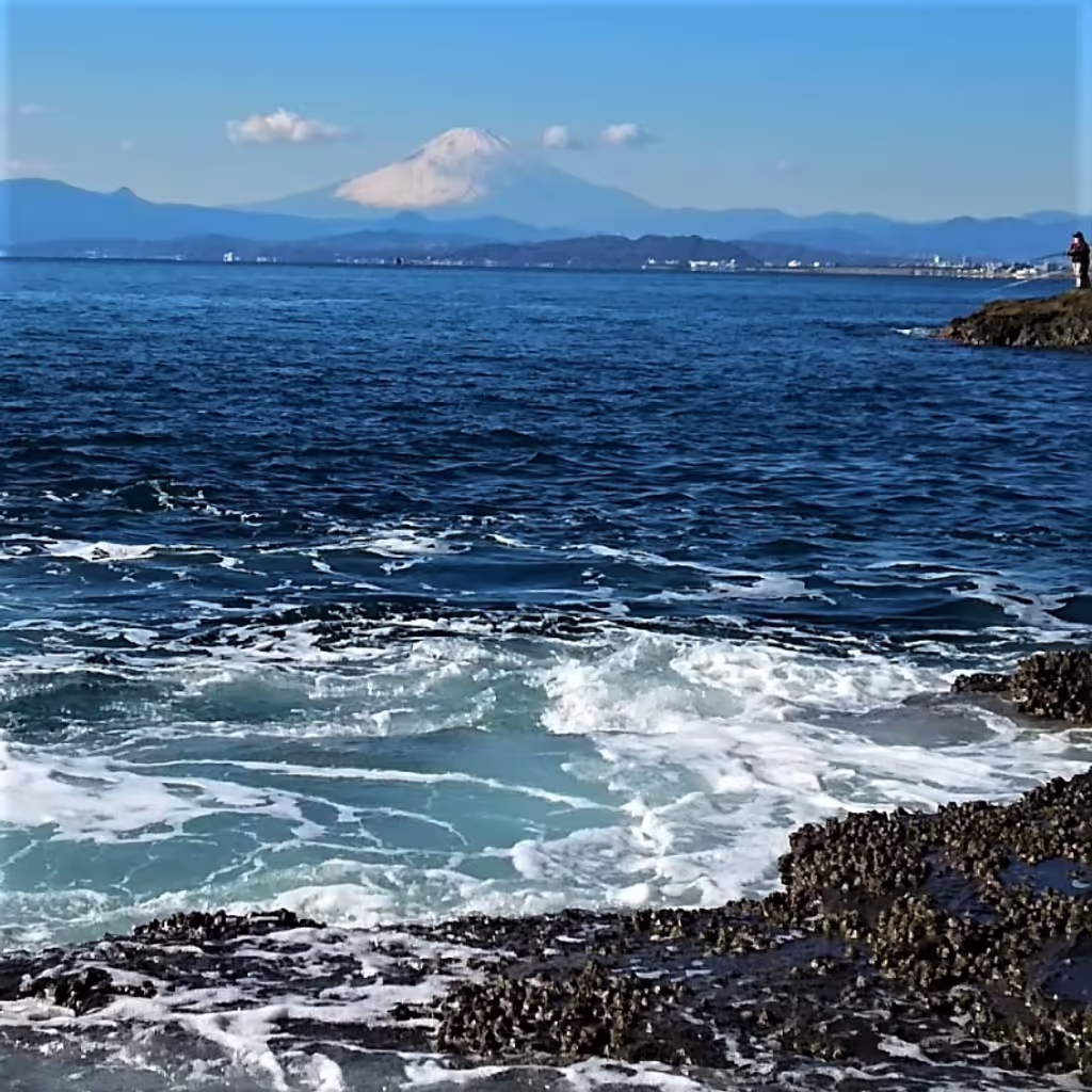 Kamakura Private Tour - Sagami bay and Mt. Fuji in winter