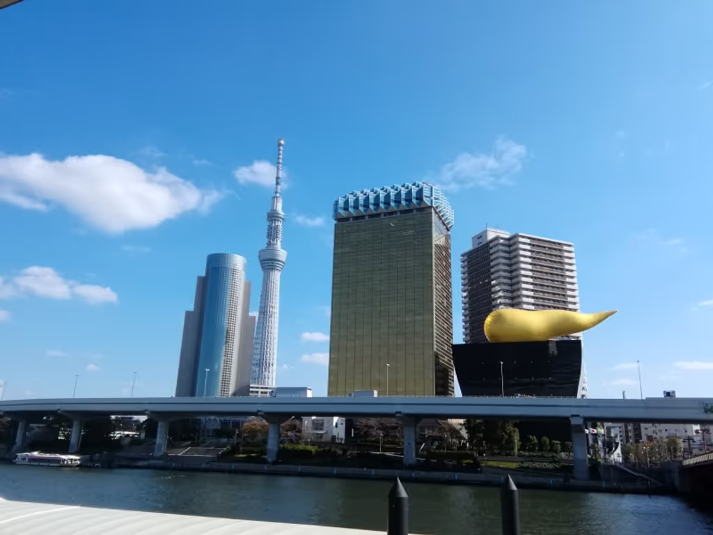 Tokyo Private Tour - Beautiful view from Asakusa - Tokyo Skytree with some unique buildings.