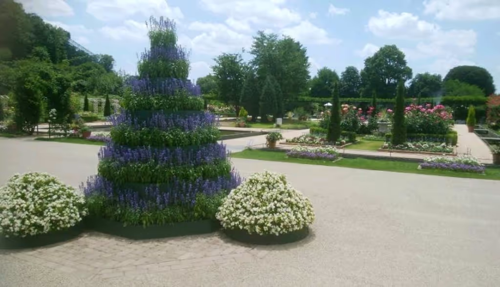 Tochigi Private Tour - Ashikaga flower park.