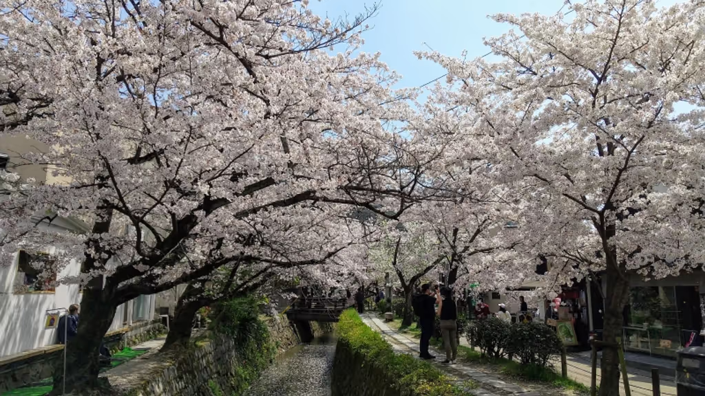 Kyoto Private Tour - Path of Philosophy