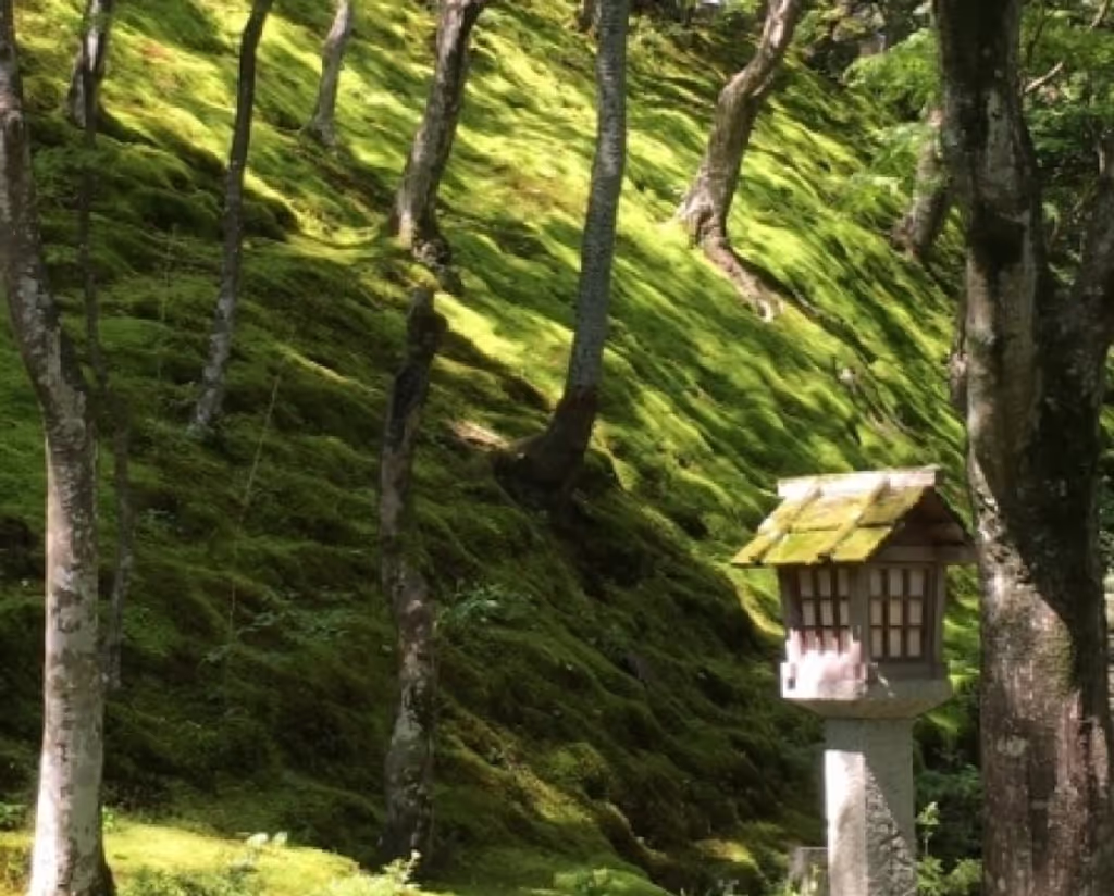 Kyoto Private Tour - Path to Monkey Park