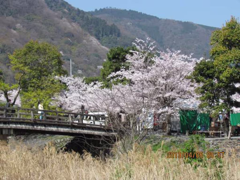 Kyoto Private Tour - Arashiyama Park