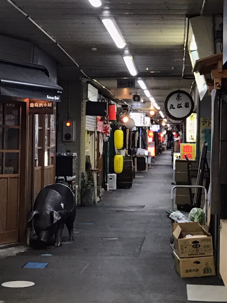 Miyagi Private Tour - Iroha allay. You can feel old Japan atmosphere
