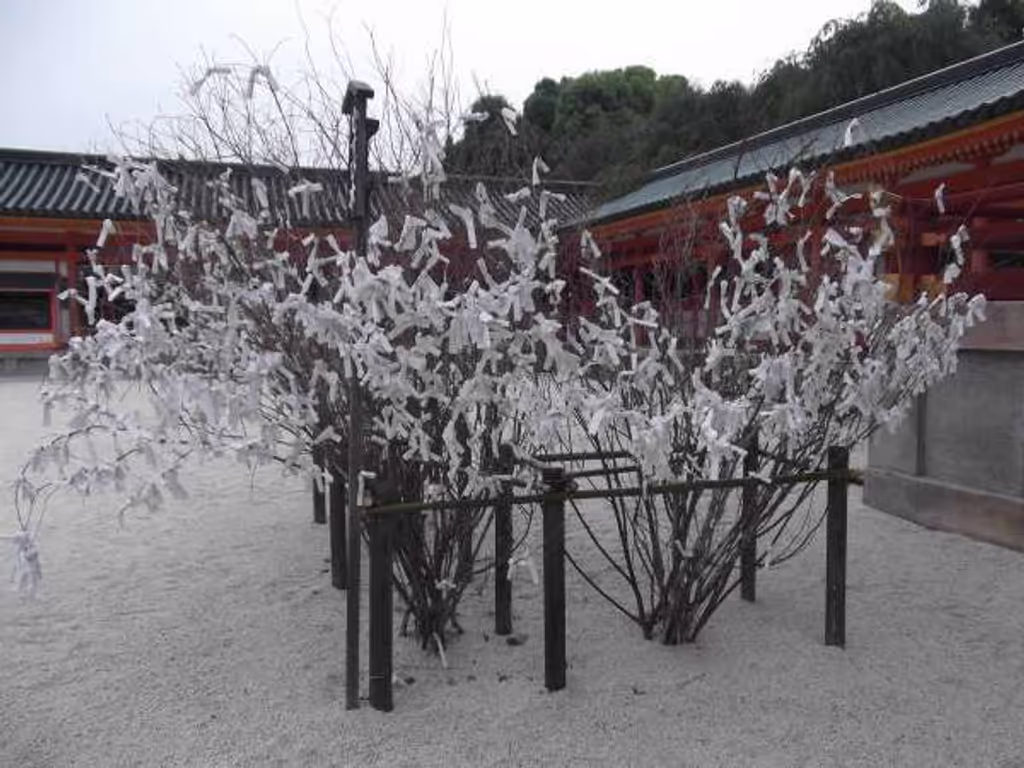 Kyoto Private Tour - Folded pieces of "Omikuju" fortune paper slips hung on a tree.