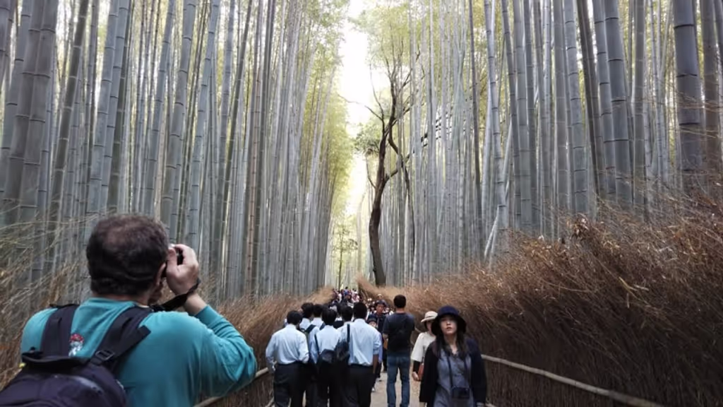 Kyoto Private Tour - < West course > Bamboo groove