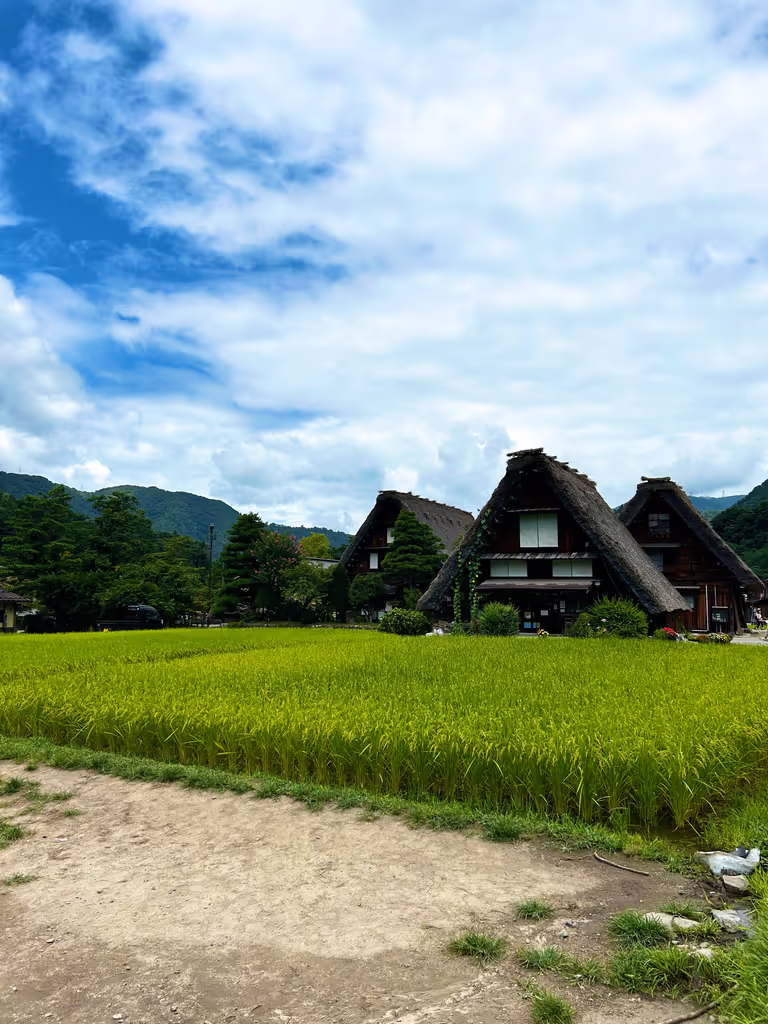 Takayama Private Tour - 