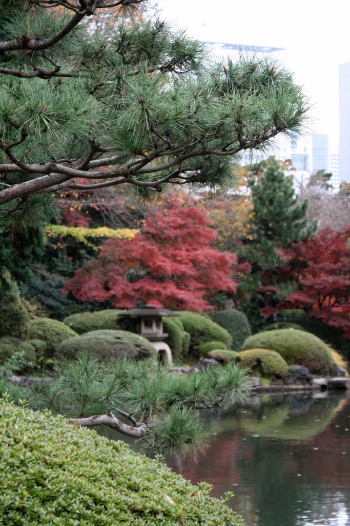 Tokyo Private Tour - null