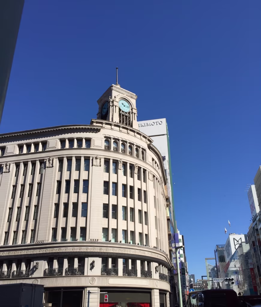Tokyo Private Tour - null