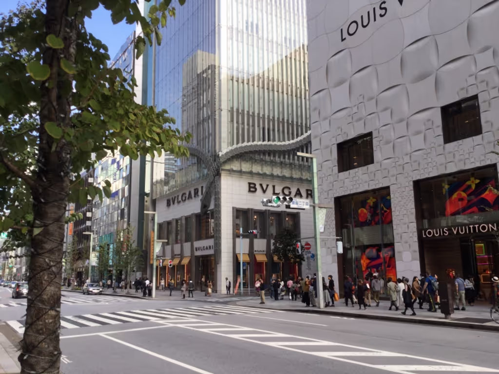Tokyo Private Tour - Ginza Street