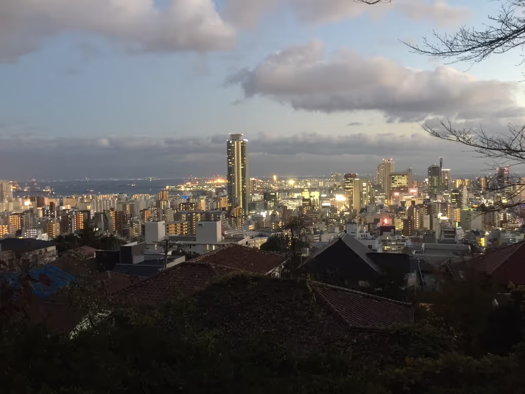 Kobe Private Tour - 