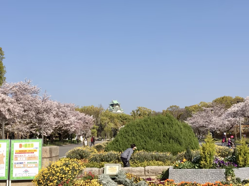 Osaka Private Tour - null