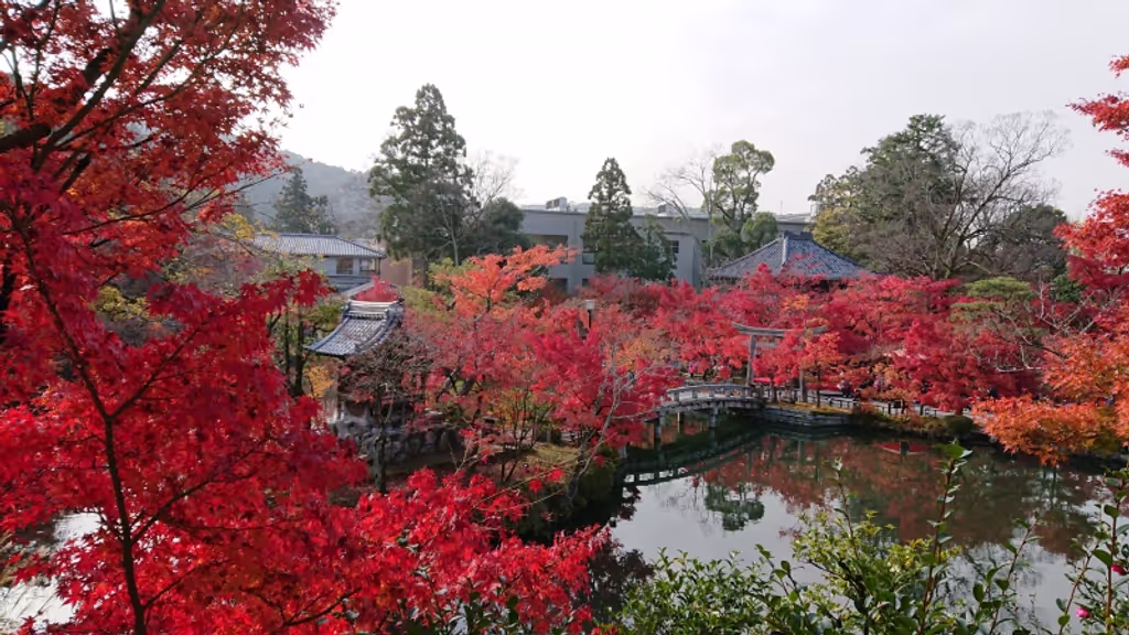 Kyoto Private Tour - Zenrinji-temple
