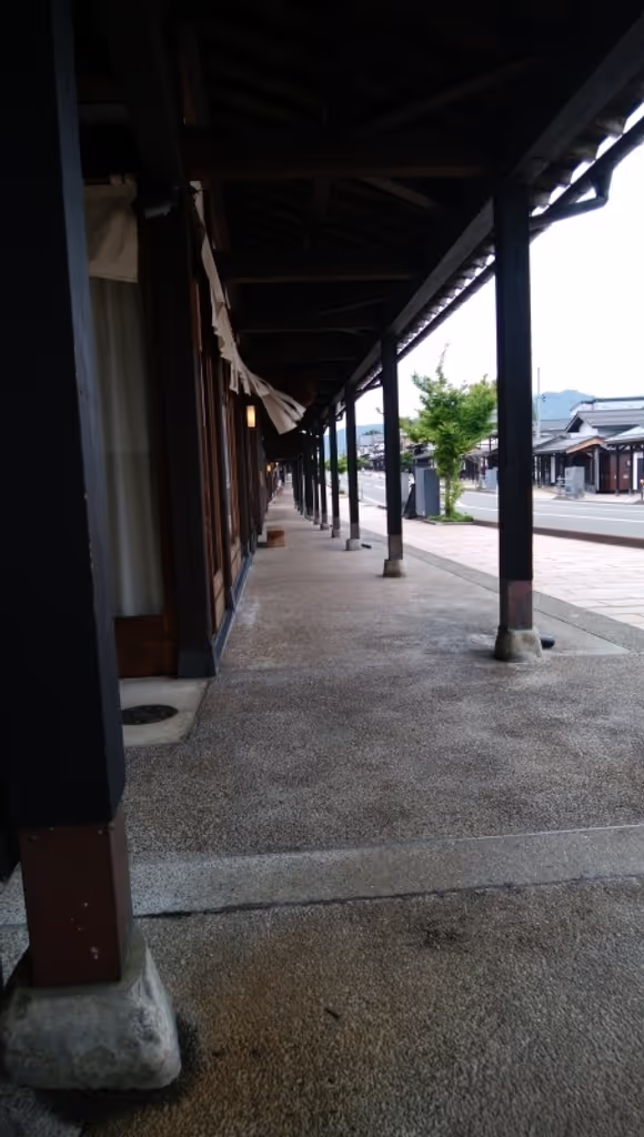 Niigata Private Tour - eaves and street 