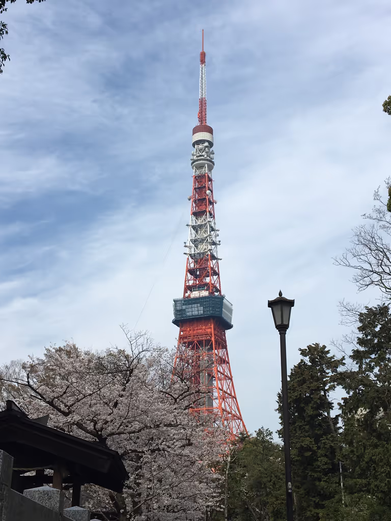 Tokyo Private Tour - null