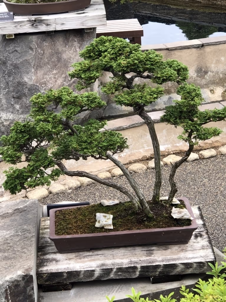 Saitama Private Tour - null