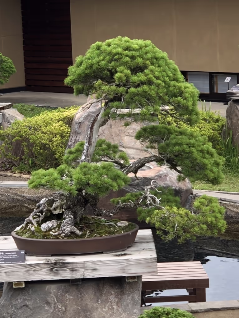 Saitama Private Tour - null