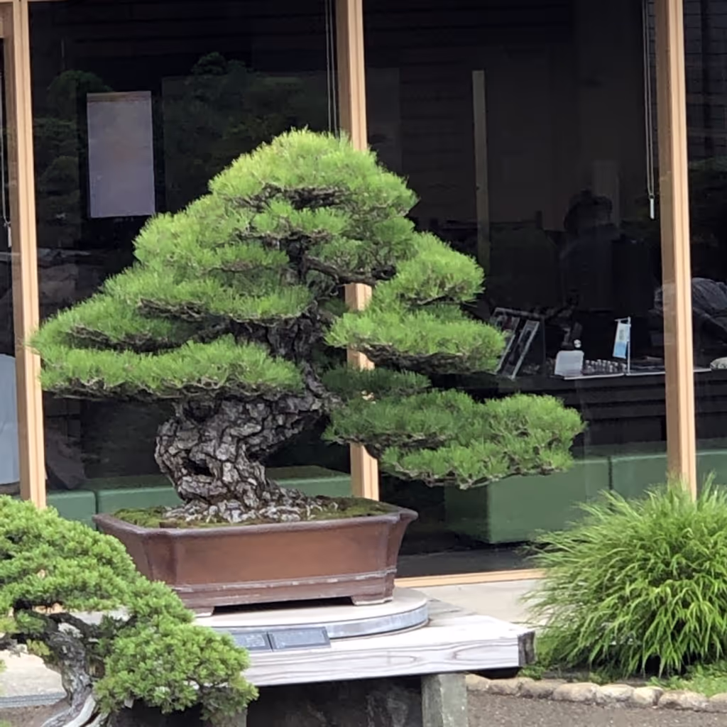 Saitama Private Tour - null