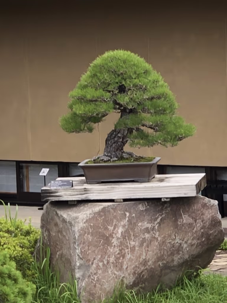 Saitama Private Tour - null