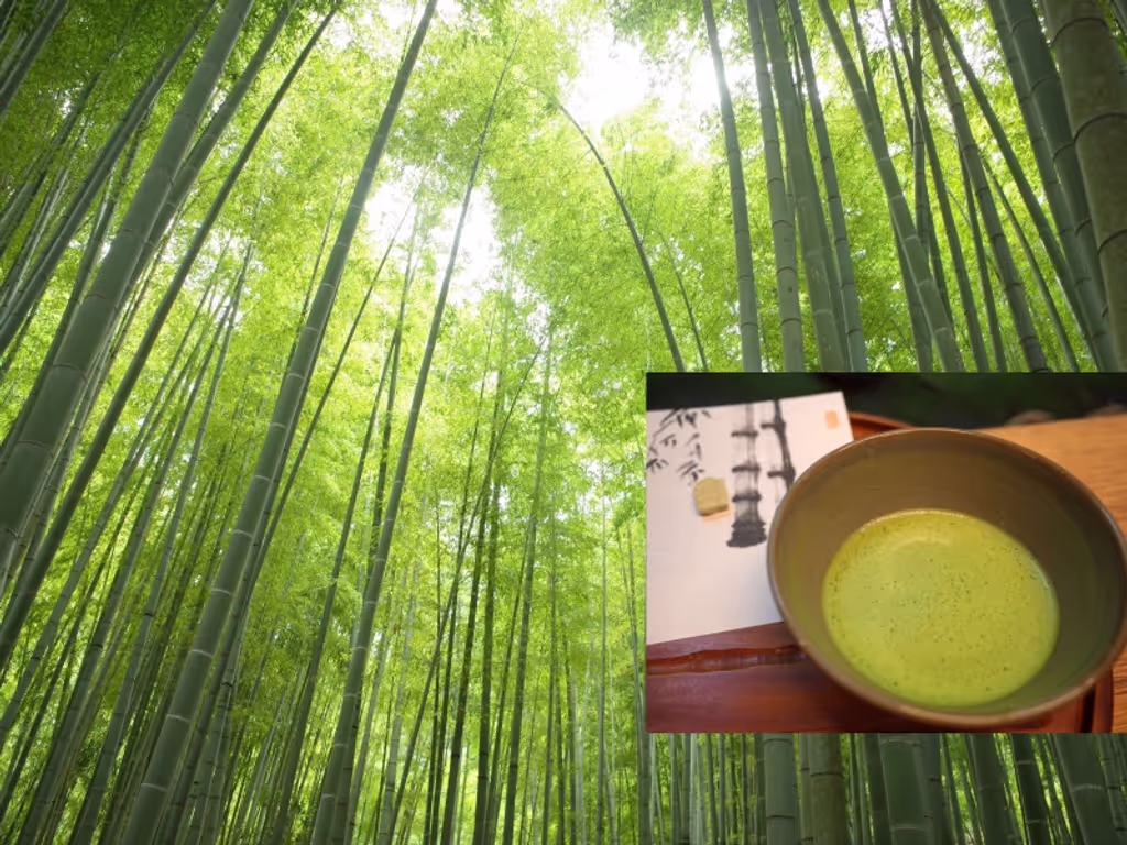 Kamakura Private Tour - 【Nature-1】Houkoku-ji Temple, known as Bamboo temple. You can enjoy Maccha green tea while watching bamboo grove.