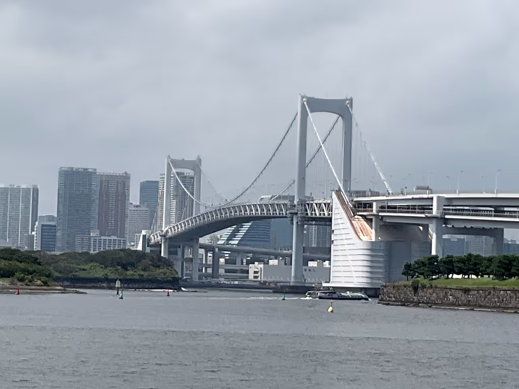 Tokyo Private Tour - Rainbow Bridge