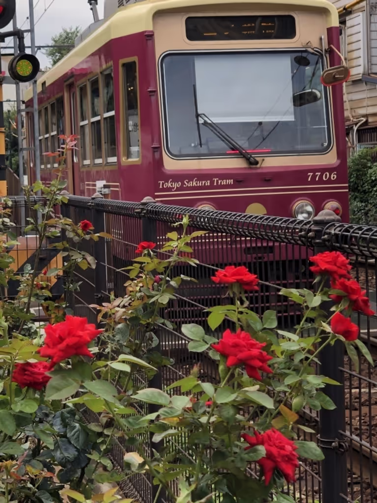 Tokyo Private Tour - More than 100-year old Sakura Tram still runs 12km in the middle of Tokyo