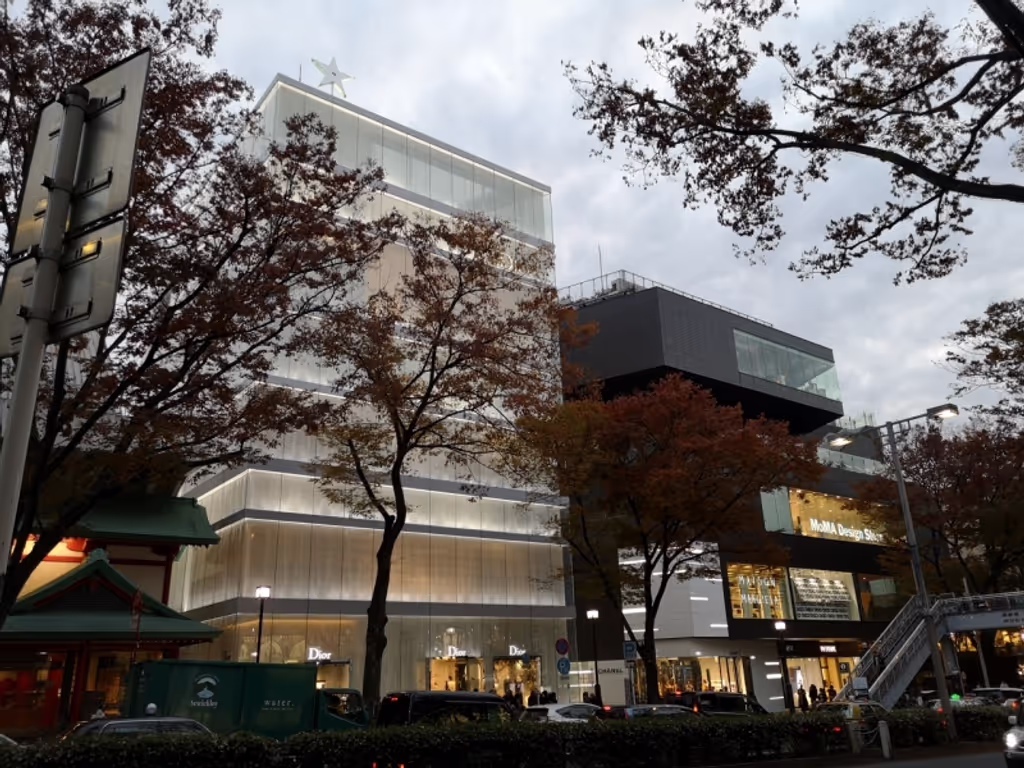 Tokyo Private Tour - Dior Building on Omotesando Avenue