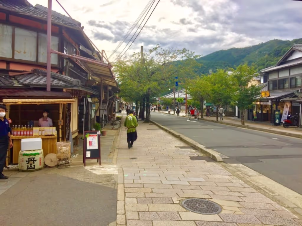 Kyoto Private Tour - null