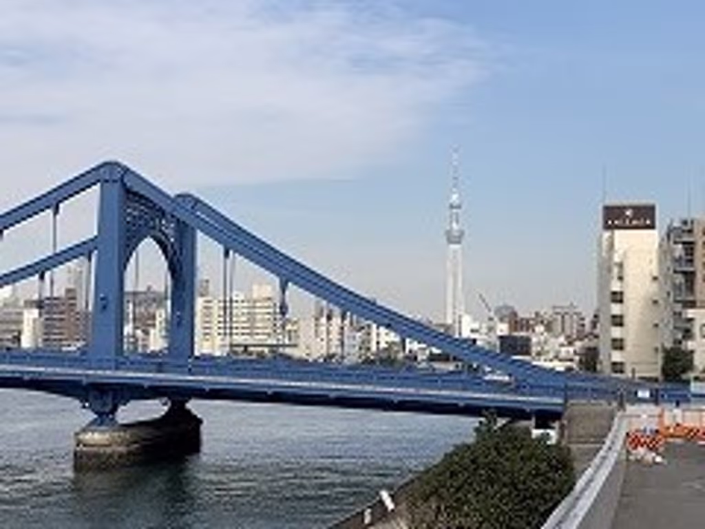 Tokyo Private Tour - null