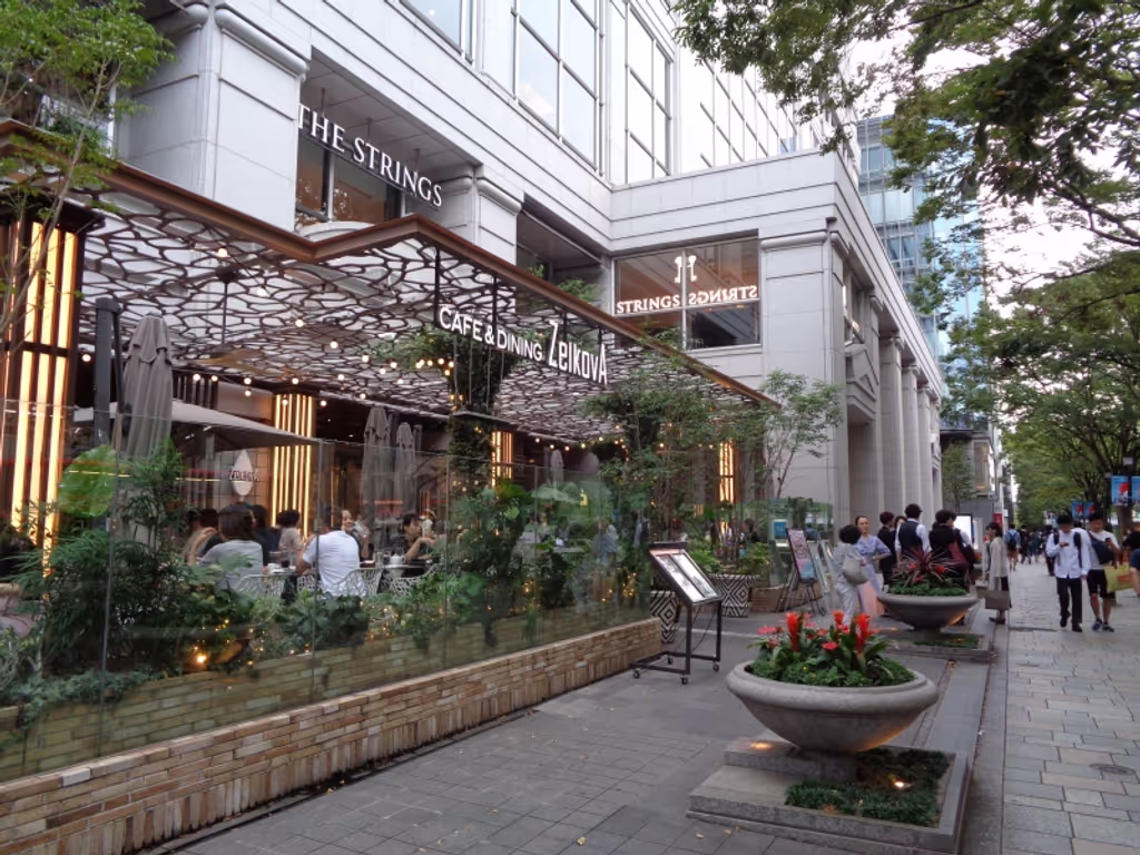 Tokyo Private Tour - Omotesando-Boulvard 
