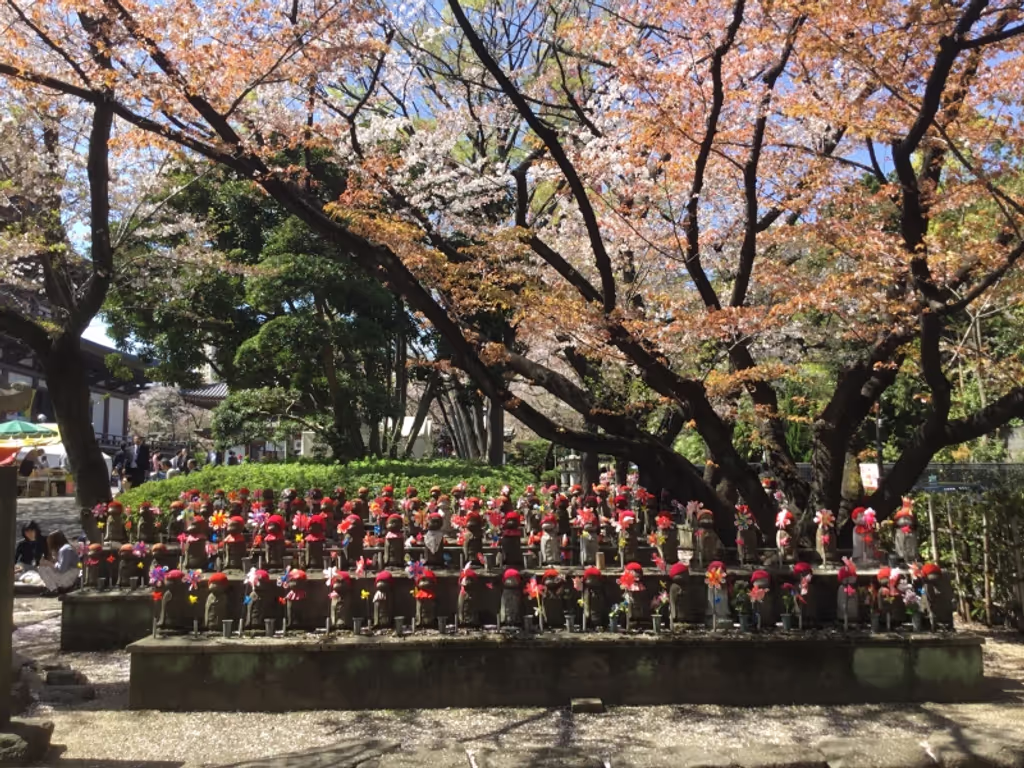 Tokyo Private Tour - Lots of Jizo statue that confort unborn babies in Zojoji temple