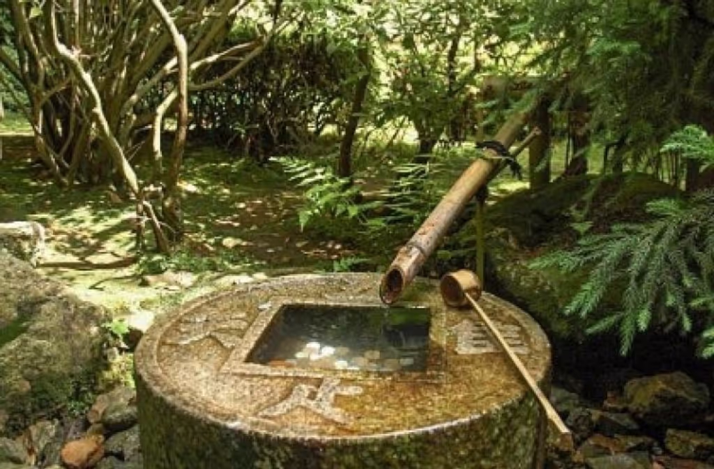 Kyoto Private Tour - at Ryoanji Temple ;   to be content with what I am・・・