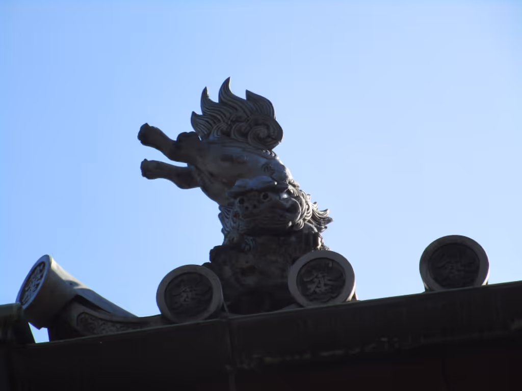 Tokyo Private Tour - Roof tile