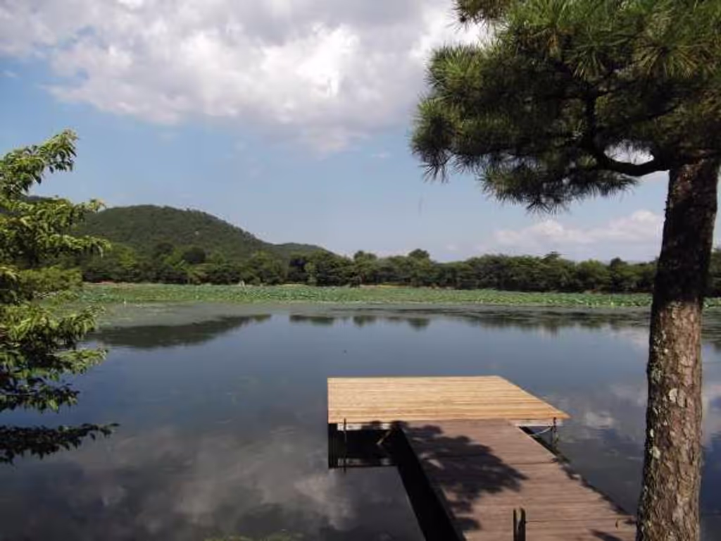 Kyoto Private Tour - Pond viewed from "Godaido" Hall.