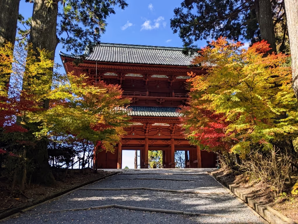 Mount Koya Private Tour - null