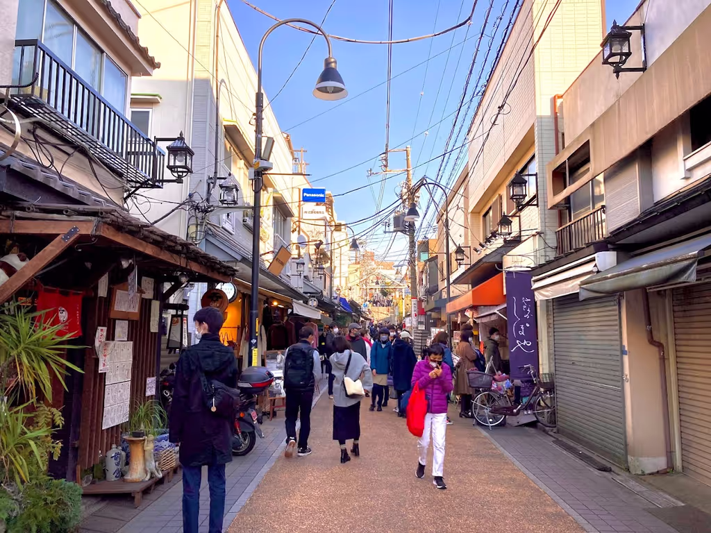 Tokyo Private Tour - Yanaka Ginza street