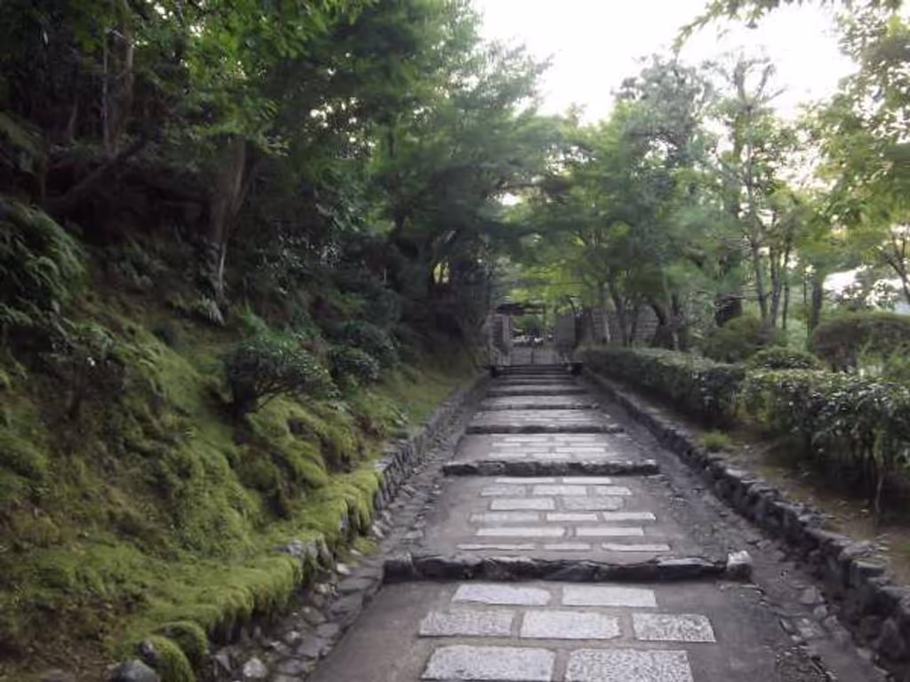 Kyoto Private Tour - Approach to the temple seen in the daytime.