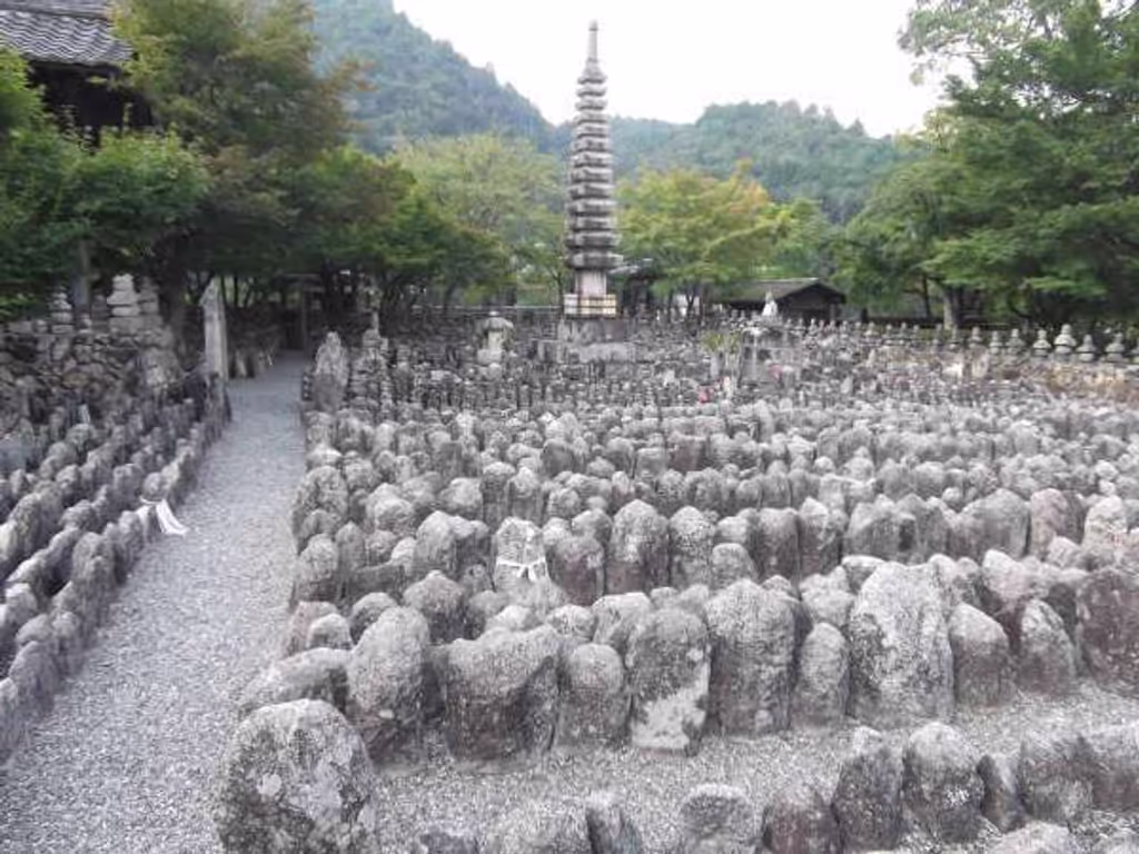 Kyoto Private Tour - Stone monuments of the deceased arranged in the temple graveyard seen in the daytime.