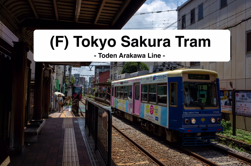 Tokyo Private Tour - 