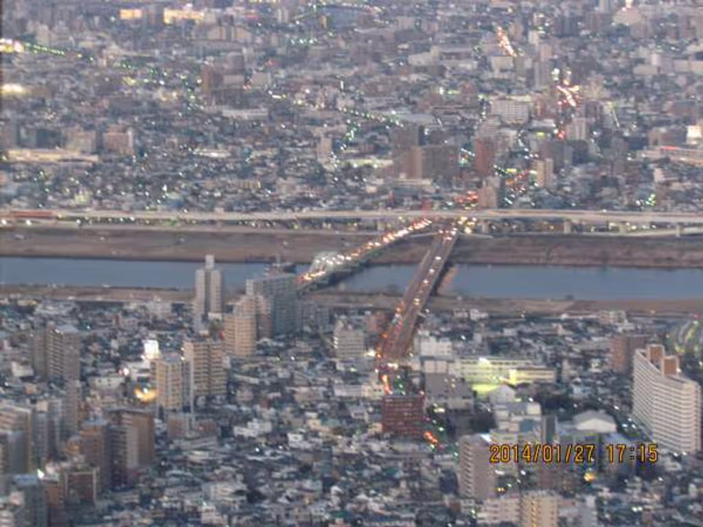 Aichi Private Tour - Landscape from Tokyo Sky Tree