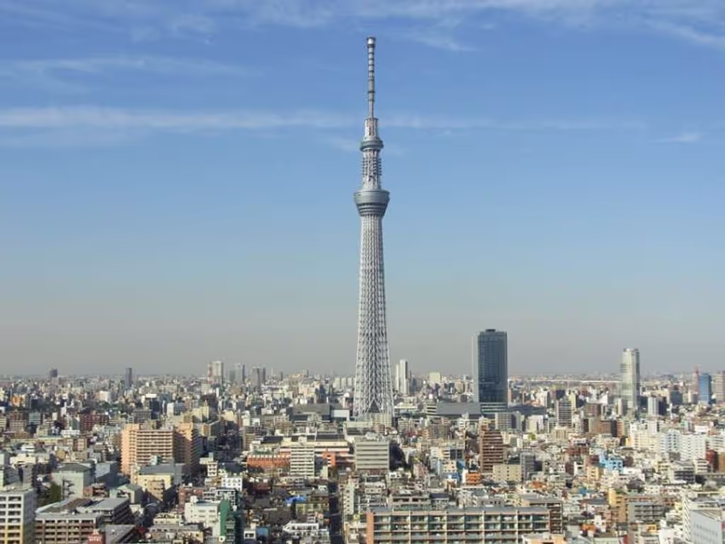 Tokyo Private Tour - null