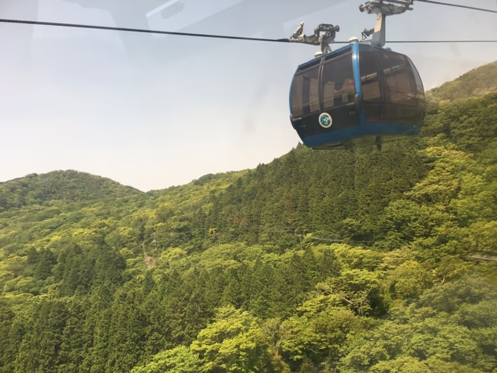 Tokyo Private Tour - null