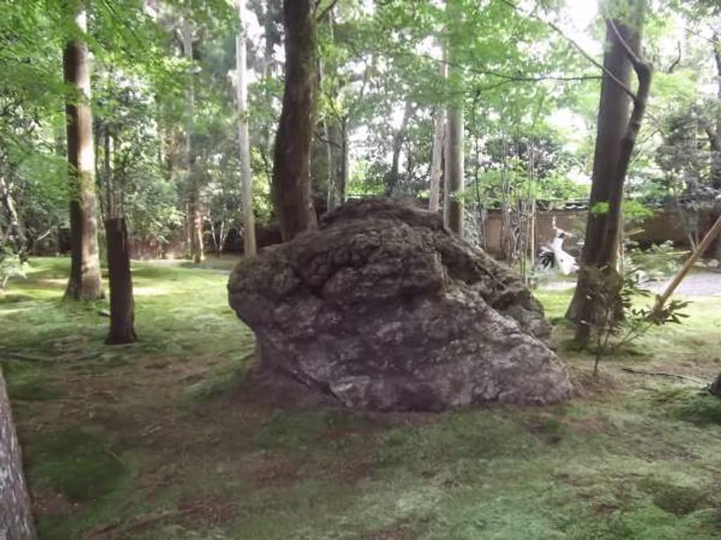 Kyoto Private Tour - Garden in the compound.