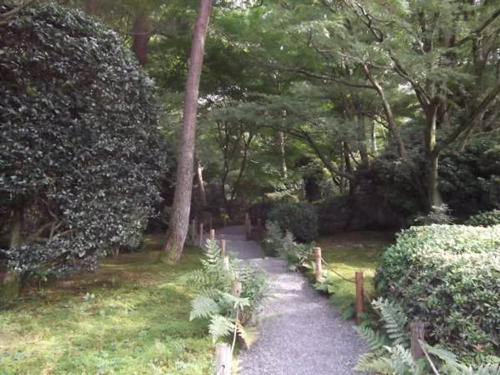 Kyoto Private Tour - Path in the compound.