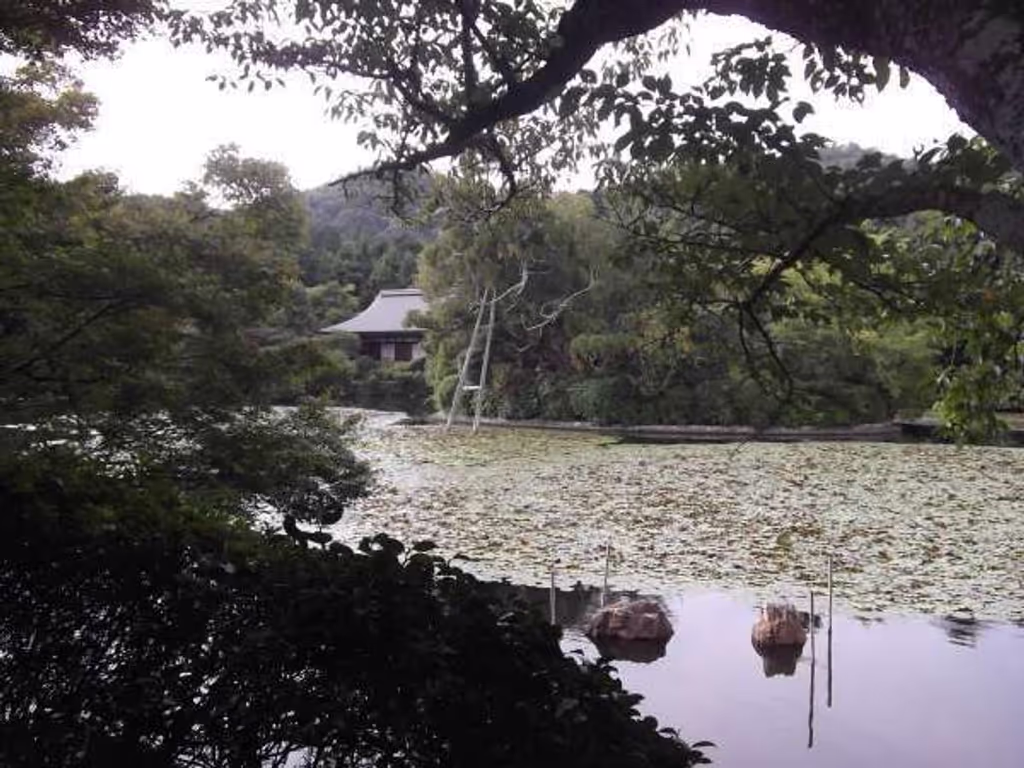 Kyoto Private Tour - Ryoanji Temple viewed from the edge of "Kyoyochi" pond.